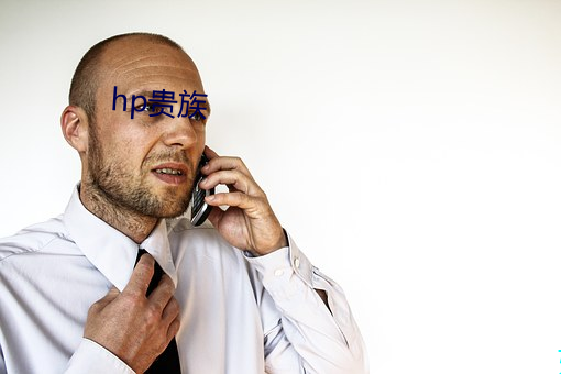 hp贵族