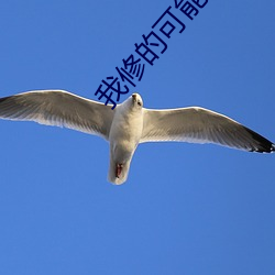 我修的可能是假仙
