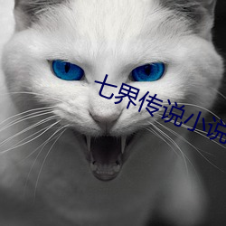 七界传(傳)说小说