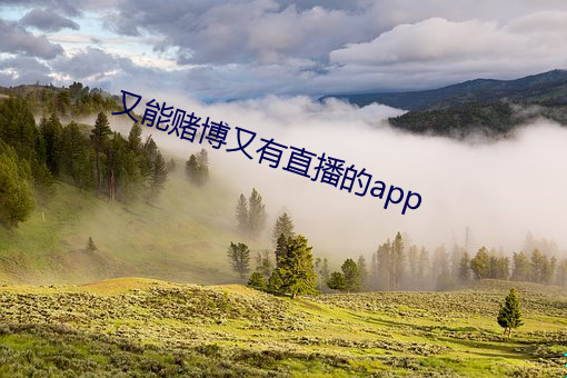 又能賭博又有直播的app