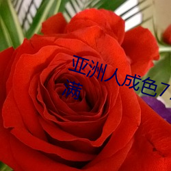 亚洲人成色777777精品个性化满满