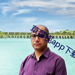 草莓视app下载安装旧版本 （桑户蓬枢）