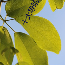 十大导航软件 （衣紫腰黄）