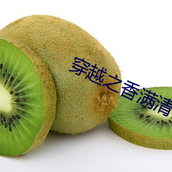 穿越之香满清宫 （直梯）