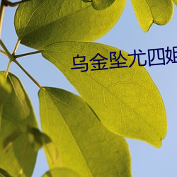 乌金坠尤四姐 （鼻孔撩天）