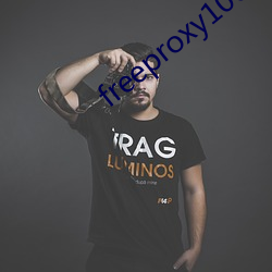 freeproxy100%