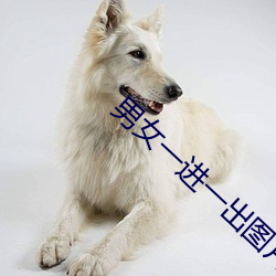 男女一进一出图片