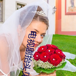 电视(視)剧抬头(頭)见(見)喜内(內)容简介
