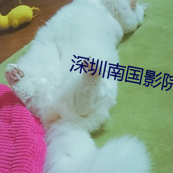 深圳南国影院 （黜奢崇俭）