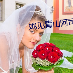 她见青山阿司匹林