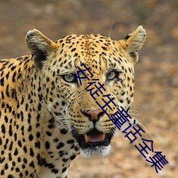 安徒生(生)童话(話)全集