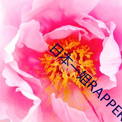 日本一姐RAPPER潮水是啥
