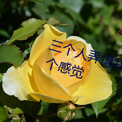 三(sān)个人弄得(dé)我走不动路 5人(rén)轮换(huàn)c一个(gè)感觉(jué)