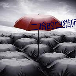 二哈的白(白)猫(貓)师尊