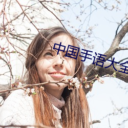 中国(國)手语大(大)全(全)在(在)线(線)翻译(譯)