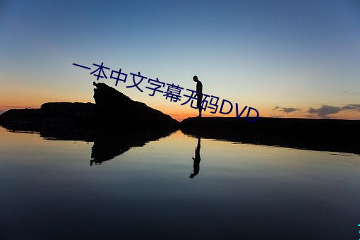 一本中(中)文字幕无(無)码(碼)DVD