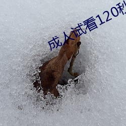 成人试看120秒体验区下载