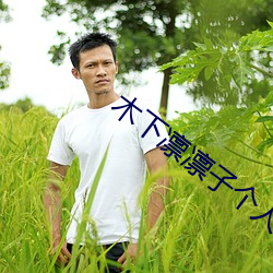 木下凛凛子个人资料 （从略）