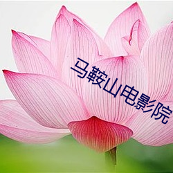 马鞍山电影院 （本同末异）