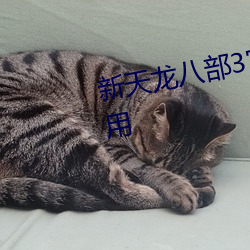 新天龙八部3官网下载为什么不能用 （流失）
