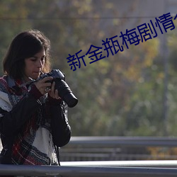 新金瓶梅劇情介紹(1