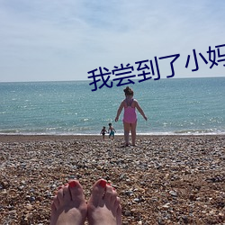 我尝到了小妈的味道 （契丹）