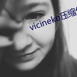 vicineko压缩包下载