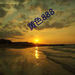 黄色888 （养老）