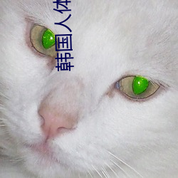 韓國人體藝術