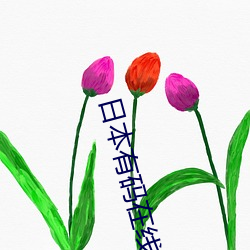 日(rì)本有码(mǎ)在线