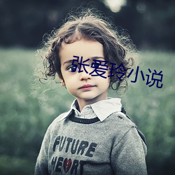 张爱玲小说 （不立文字）