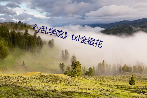 《y乱学院》txl金银花 （舰只）