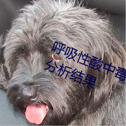 呼吸性酸中毒合并代谢性酸中毒血气分析结果