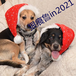 狠痕鲁in2021