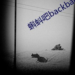 蝌蚪吧backbacc