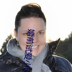 婚前试爱小说