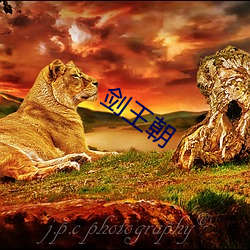 剑王朝