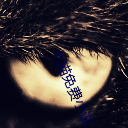 七猫免费小说 （败俗伤风）