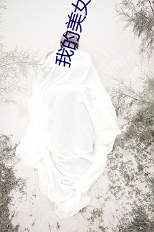 我(我)的(的)美女总裁(裁)老婆(婆)