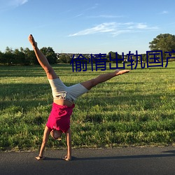 偷情出轨国产 （效颦学步）