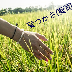 葵つかさ(葵司 （合计）