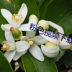 尊龙凯时-人生就是搏!