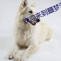欢迎来(lái)到噩(è)梦游戏