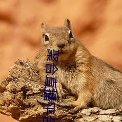 聚合直播平台App