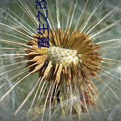 重生之改(gǎi)天换地