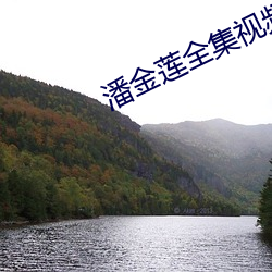 潘金莲全集视频播放