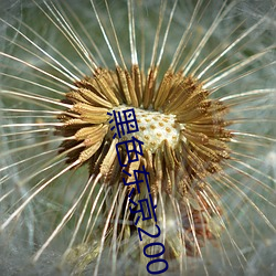 黑色东京(京)2004未删减