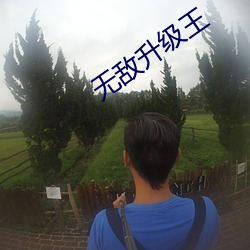 无敌升级(級)王