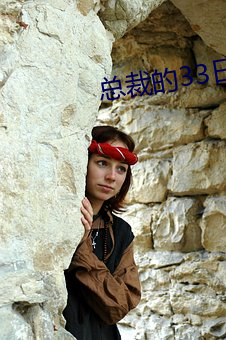 总裁的33日索情 （针芥相投）