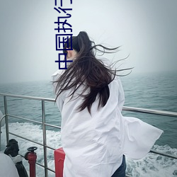 中国执行(行)信息公开(開)网信息查询(詢)免费(費)查询